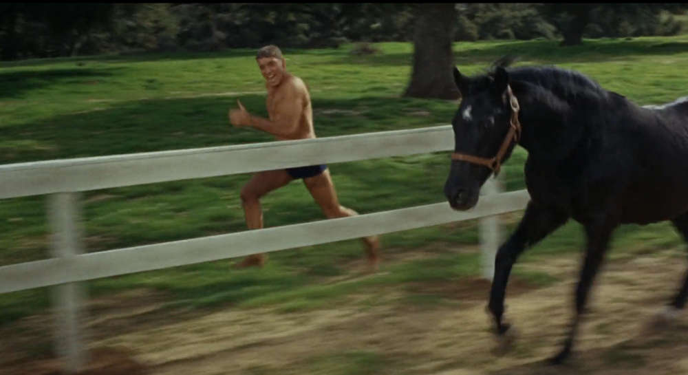 The Swimmer (Frank Perry, 1968) & The Best Damn Fiddler from Calabogie to Kaladar (Peter Pearson